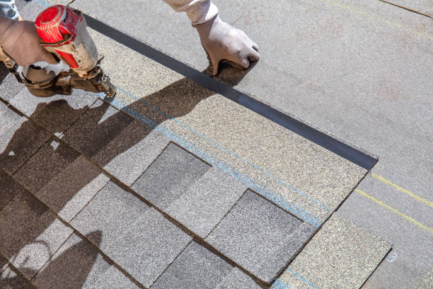 Best Metal Roofing Contractor  in Maynardville, TN